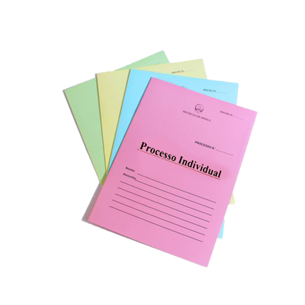 CAPA DE PROCESSO INDIVIDUAL